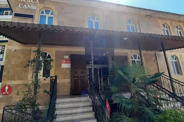 Alaca Cami - Resim 7