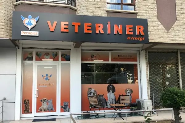 PETVOİCE VETERİNER KLİNİĞİ - Resim 2