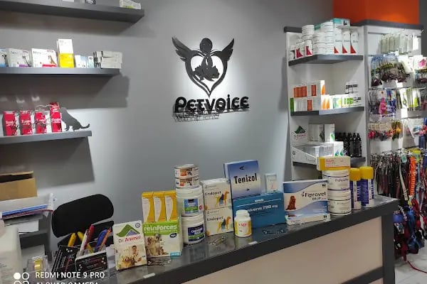 PETVOİCE VETERİNER KLİNİĞİ - Resim 19
