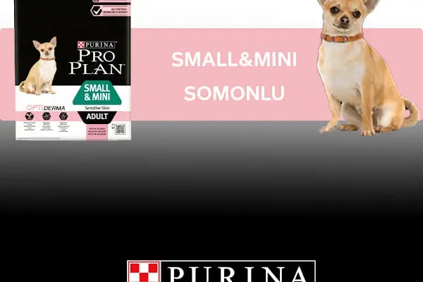 Pia Petshop - Resim 14