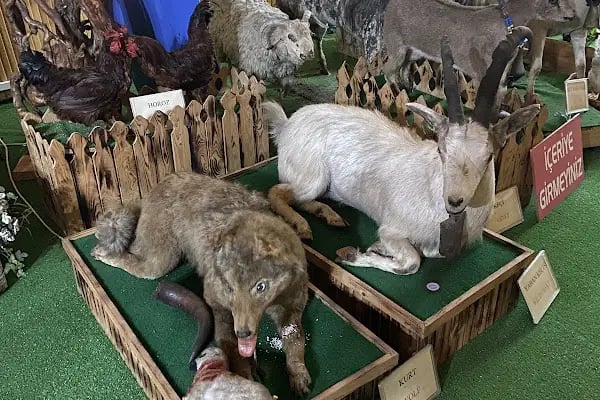 Bizim Köy Müze Hareketli Etnoğrafya Galerisi - Resim 6
