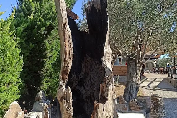 Bizim Köy Müze Hareketli Etnoğrafya Galerisi - Resim 11