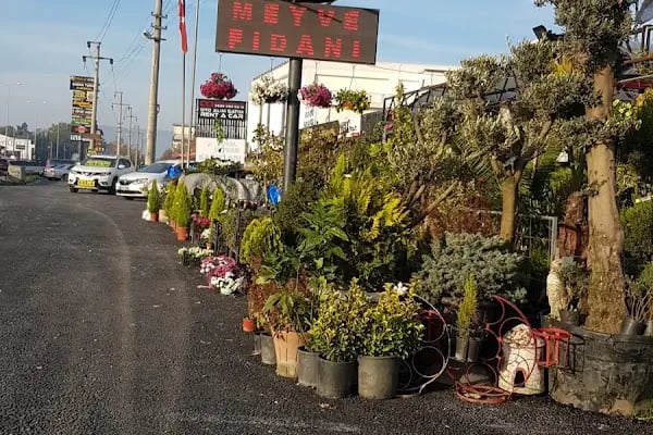 Florista Çiçekçilik &amp; MuM Art - Resim 10