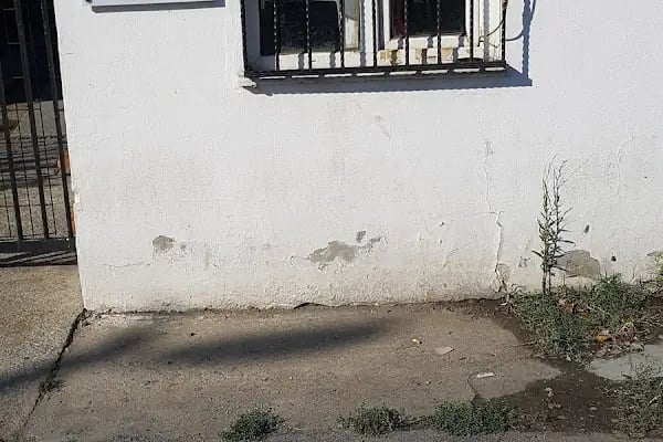 Çimen Sitesi - Resim 6