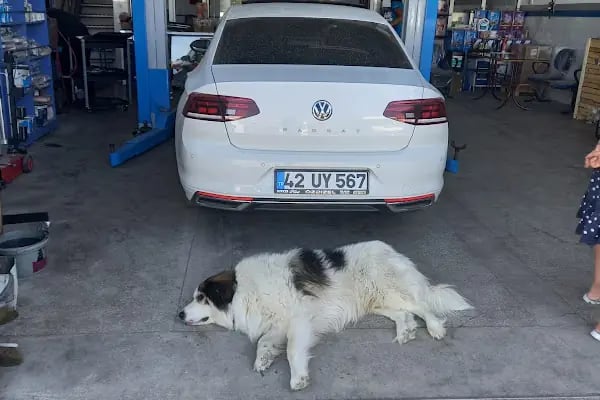 Iveco özel Servis ve yedek parça Akşehir - Resim 18