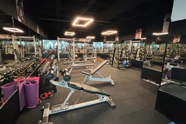 İstanbul Bahçeşehir Spor Kulübü - Resim 2