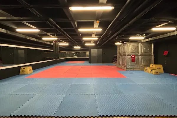 İstanbul Bahçeşehir Spor Kulübü - Resim 3