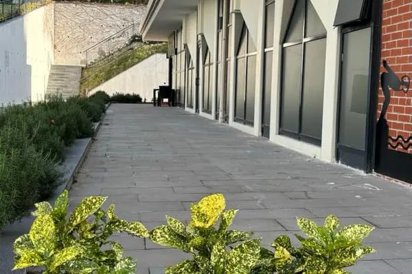 İstanbul Bahçeşehir Spor Kulübü - Resim 19
