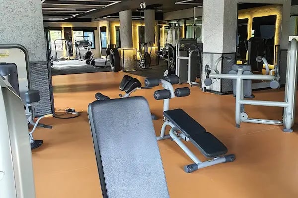 İstanbul Bahçeşehir Spor Kulübü - Resim 9
