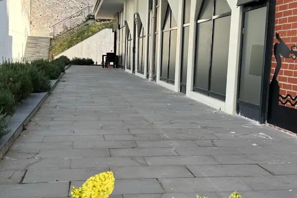 İstanbul Bahçeşehir Spor Kulübü - Resim 6
