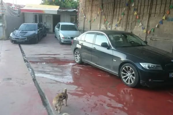 ATAŞEHİR BULUT OTO YIKAMA - Resim 19