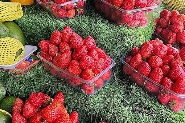Kasrik Organik Manavi Günlük Sebze Ve Meyve - Resim 11