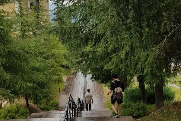 Sakarya Uygulamalı Bilimler Üniversitesi - Resim 20