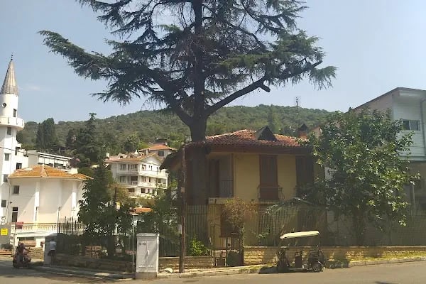 nizam camii - Resim 6