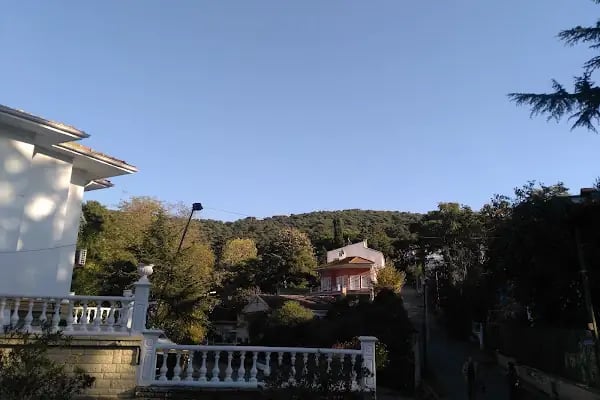 nizam camii - Resim 9