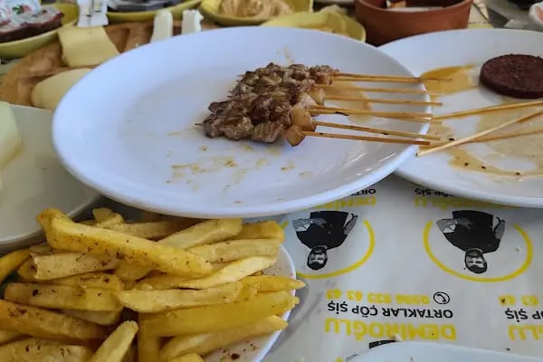 Demiroğlu Meşhur Ortaklar Çöpşiş/Antalya - Resim 7