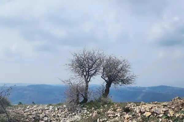 Kavacık Şelalesi - Resim 7