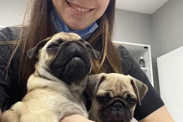 ŞirinPati Pet, Kuş ve Egzotik Veteriner Kliniği - Resim 5