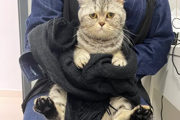 ŞirinPati Pet, Kuş ve Egzotik Veteriner Kliniği - Resim 12