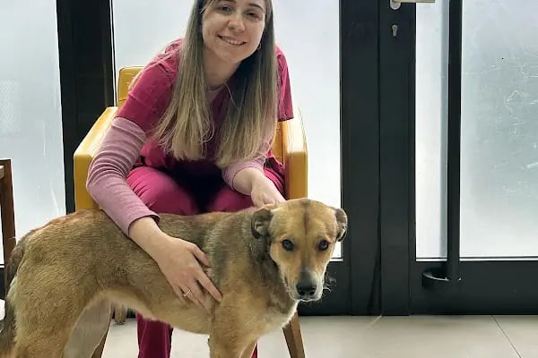 ŞirinPati Pet, Kuş ve Egzotik Veteriner Kliniği - Resim 18