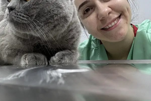 ŞirinPati Pet, Kuş ve Egzotik Veteriner Kliniği - Resim 2
