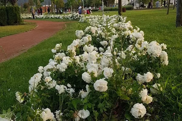 Mihraplı Kent Parkı - Resim 8
