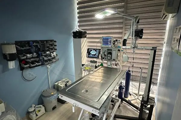 Koi Veteriner Kliniği - Resim 9