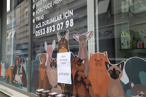 Koi Veteriner Kliniği - Resim 11