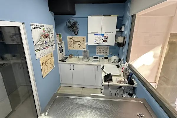 Koi Veteriner Kliniği - Resim 8