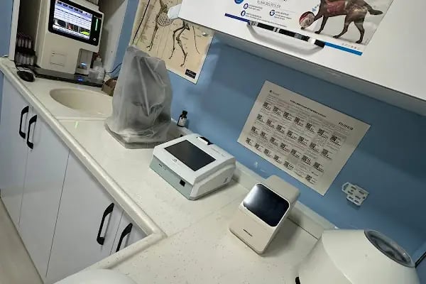 Koi Veteriner Kliniği - Resim 16