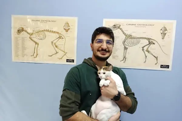 Koi Veteriner Kliniği - Resim 13