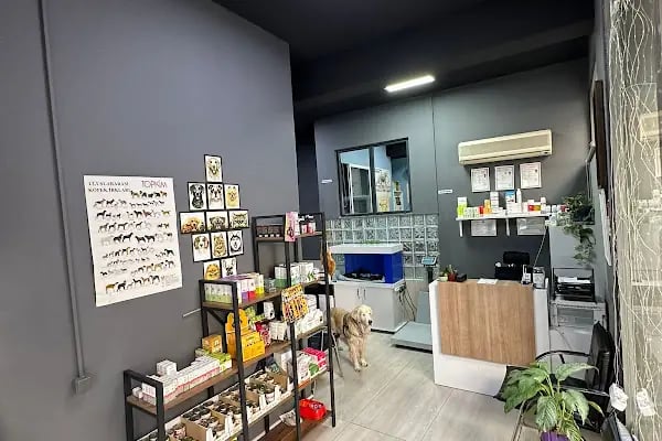 Koi Veteriner Kliniği - Resim 12