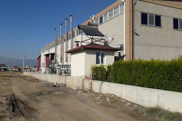 İdeal Kuruyemiş - Resim 7