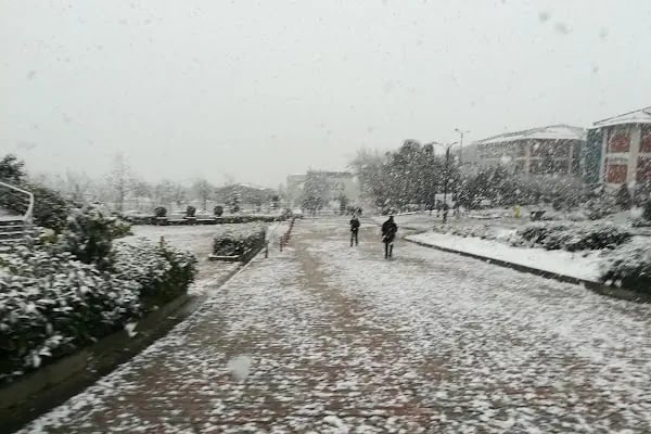 İstanbul Üniversitesi-Cerrahpaşa Büyükçekmece Yerleşkesi - Resim 18