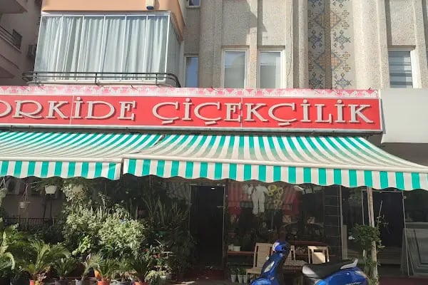 Orkide Çiçekçilik Alanya - Resim 3