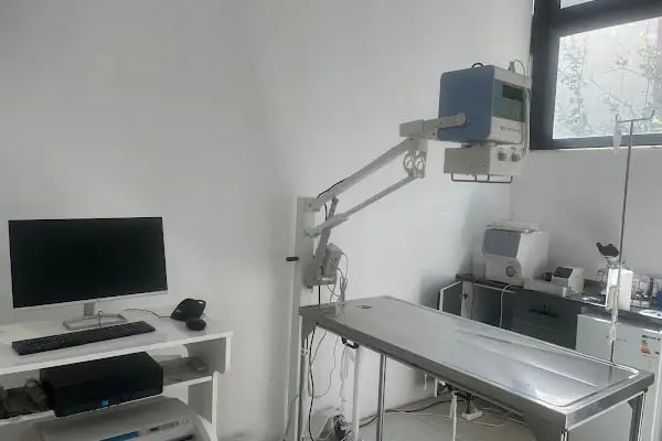 PaxVET Veteriner Kliniği | Döşemealtı - Resim 2