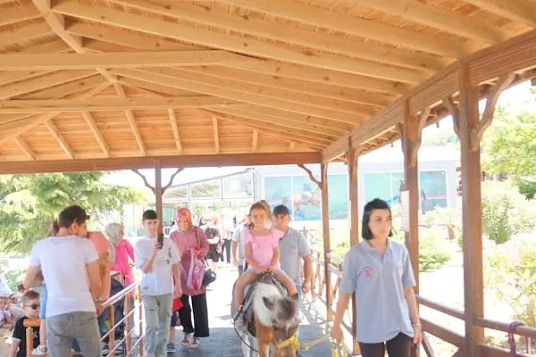 Atlı Spor Tesisleri - Resim 17