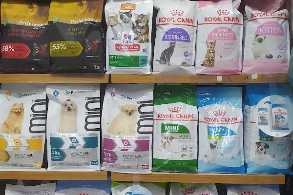 EMİN AKVARYUM VE PETSHOP - Resim 13