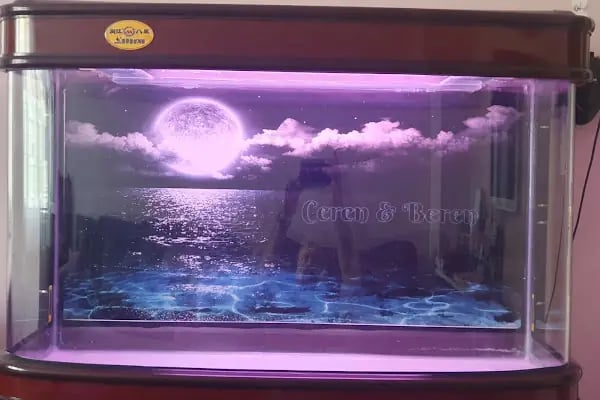 EMİN AKVARYUM VE PETSHOP - Resim 3