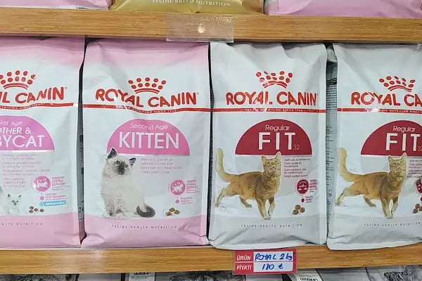 EMİN AKVARYUM VE PETSHOP - Resim 5