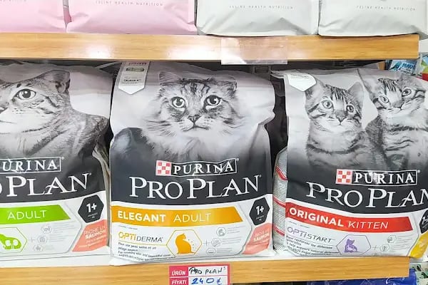 EMİN AKVARYUM VE PETSHOP - Resim 8