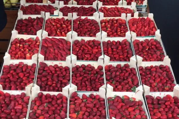 Asya Market 9. Şube - Resim 4