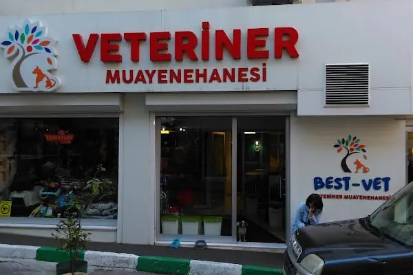 Best Vet Veteriner Muayenehanesi - Resim 20