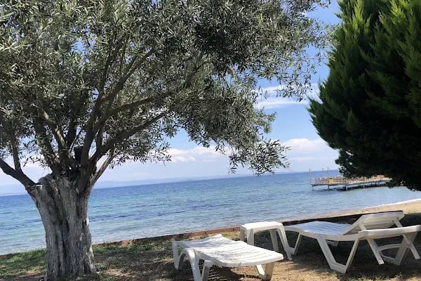 Ferhatoğlu Olive Aqua Park - Resim 15