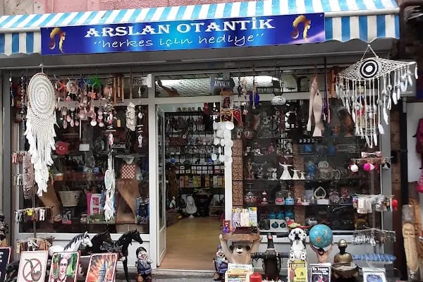 arslan otantik - Resim 14
