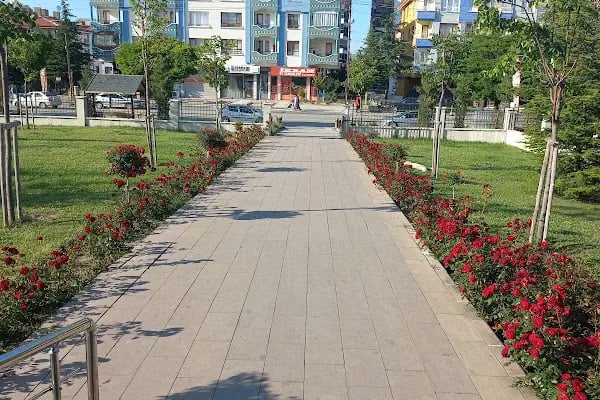 Altındağ Belediyesi Karapürçek Mahalle Kütüphanesi - Resim 7