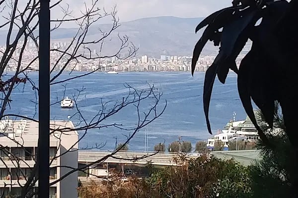 Şato Kütüphanesi - Resim 15