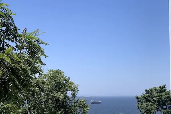 Şato Kütüphanesi - Resim 18