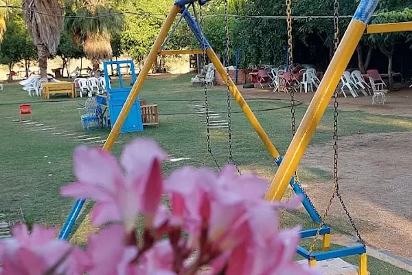 Şişci Sebo'nun Yeri - Resim 14