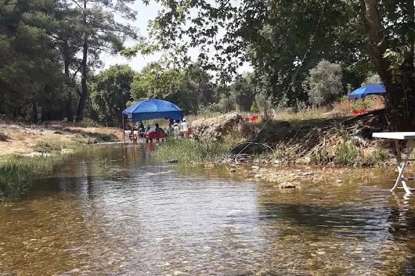 Şişci Sebo'nun Yeri - Resim 10